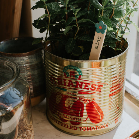 Plant markers