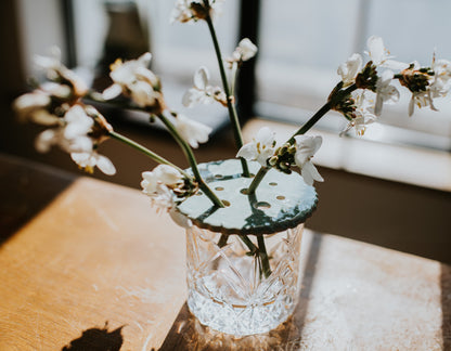 Jam jar flower holder / propagator